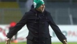 Nem kapnak fizetést Győrben Vasile Miriuța futballistái