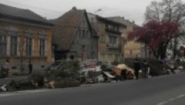 Ingyenes hulladékbegyűjtés Marosvásárhelyen