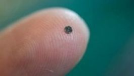 Emberekbe ültetne chipet a PayPal