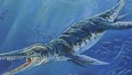 Százmillió éves állkapocskövületre bukkant egy gazda