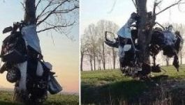 Felcsavarodott Audija egy fára a Nagyváradra tartó lengyel férfinak