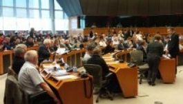 Európai kisebbségvédelem – téglánként építkezve