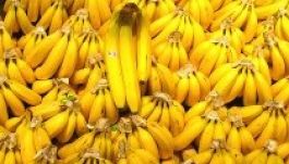 Banánköztársaság lett Romániából