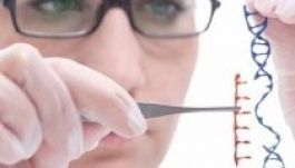 Emberi embriók génjeit manipulálták Kínában