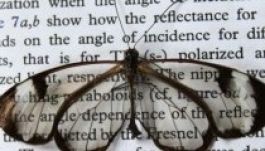 Egy lepke segíthet a jövő kijelzőjének megalkotásában