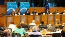 Kisebbségvédelem: lesz-e folytatás az EP-ben?