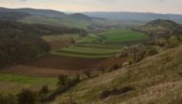 Tanácsadói projektet indít a Milvus Csoport