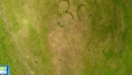 Titokzatos körök jelentek meg egy erdélyi falu legelőjén (VIDEÓ)