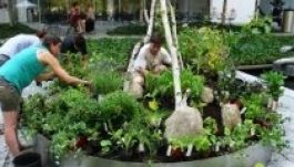 Termesszünk-e paradicsomot a város közepén?