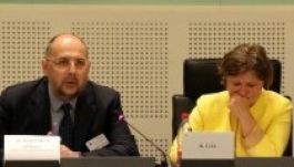 A magyar közösségi jogok helyzetét ismertették Strasbourgban