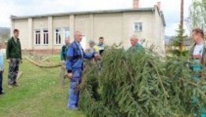 Májusfa végzett egy felvidéki férfival