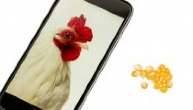 Médiatudományi konferencia lesz a Marosvásárhelyi Művészeti Egyetemen