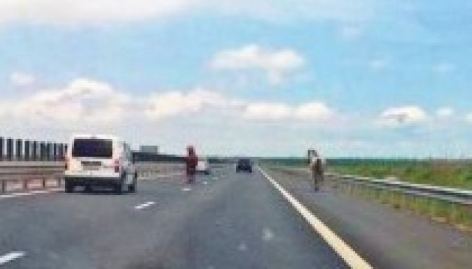 Lovak vágtattak az Arad-Temesvár autópályán (FOTÓ)