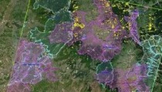 Hatezer futballpályányi erdőt irtottak ki hat év alatt Hargita megyében