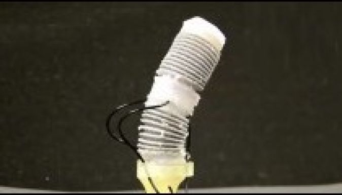 Robotpolipok végezhetnek műtétet a jövőben