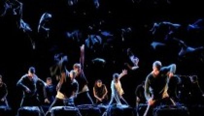 Szegedi és kolozsvári produkciók a tánchéten