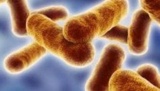 Véletlenül aktív antraxot küldött szét egy amerikai labor