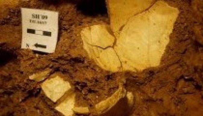 Megtalálták a történelem legrégebbi gyilkosságának áldozatát