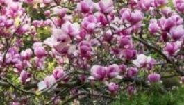 Ilyen lesz az időjárás a következő két hétben