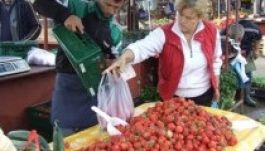 Megjelent az első földieper Szatmárnémeti piacain