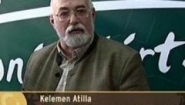 A közbirtokosságok és az egyesületek is kérhetnek területalapú támogatást