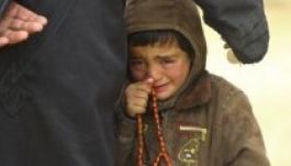 Svájc és Ausztria is befogadja a menekülteket