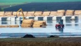 A környezetvédelmi minisztérium a Schweighofernél vizsgálódik