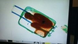 Bőröndben akartak becsempészni egy gyereket Spanyolországba