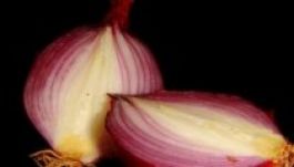 Hagymasejtekből készítettek mesterséges izomszövetet