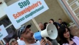 „Állítsátok meg Székelyföld letarolását!”