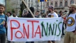 Erdőirtás: ötvenkét visszaélést fedeztek fel