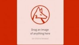 Bármilyen fotót azonosít egy új honlap