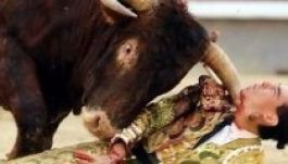 Élet és halál között van a felöklelt spanyol matador