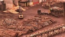 A Schweighofer a Romániából kivonulással fenyeget