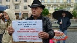 Erdőirtás: kibeszélős tüntetés meglepetéspolitikussal