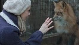 Liza, a rókatündér nyitotta meg a moszkvai magyar filmfesztivált