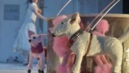 Gyermekelőadás és mozgásszínház az Infinite Dance Fesztiválon