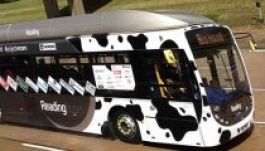 Trágya hajtja az új biobuszt