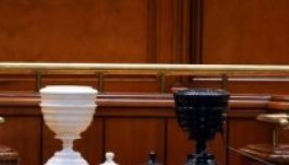 Máté nem hinné, hogy az RMDSZ támogatná a PNL indítványát