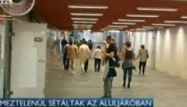 Ismét meztelen emberek sétáltak Budapesten (VIDEÓ)