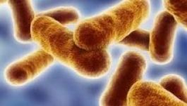 Véletlenül aktív antraxot küldött szét egy amerikai labor