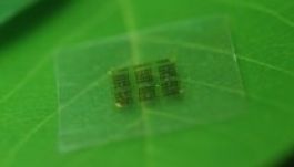 Fából készülhet a jövő okostelefonja