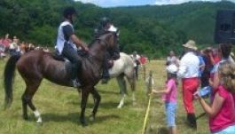 Új helyszínen tartják a Marosszéki lófuttatást