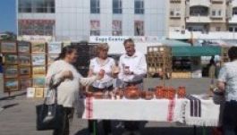 Csalódást okoztak a szatmári magyaroknak a városnapok