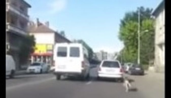 Autóhoz kötöttek egy kutyát a marosvásárhelyi forgalomban (VIDEÓ)