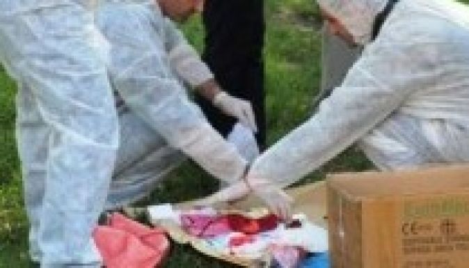 A gyilkosságszámok toplistáján második Hargita megye