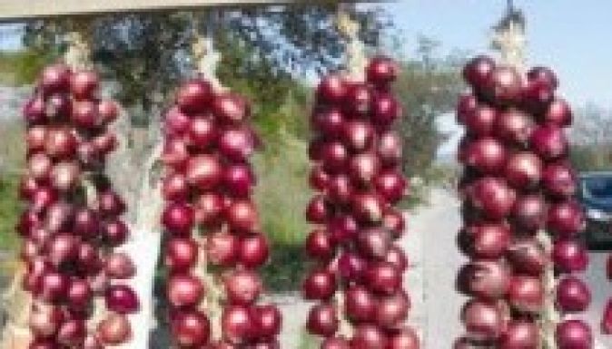 Rendőrség: nem tiltjuk be a kibédi hagymaárusítást