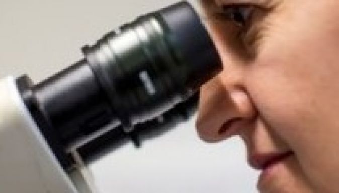 Rangos nemzetközi díjat kaptak magyar kutatók