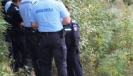 Holttestet halásztak ki Kolozsváron a Szamosból