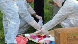 A gyilkosságszámok toplistáján második Hargita megye